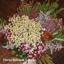 Flores Ikebana Candás