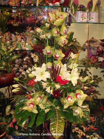 Flores Ikebana